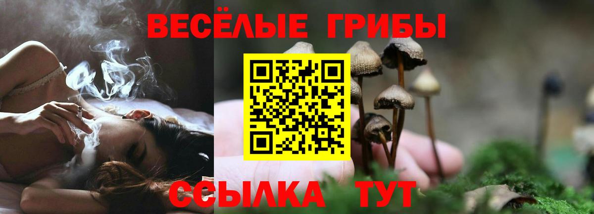 Псилоцибиновые грибы мицелий  хочу наркоту  Ханты-Мансийск  Псилоцибиновые грибы Psilocybe  Вход с VPN 